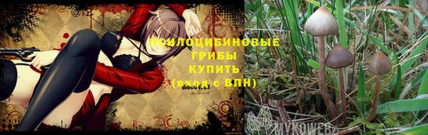 мефедрон Каменногорск