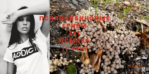 ALPHA PVP Козельск